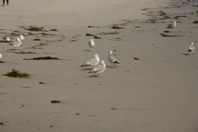 DSC_2258 (Large).JPG